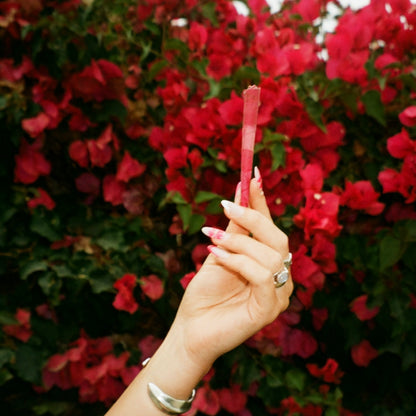 RED ROSE CONE