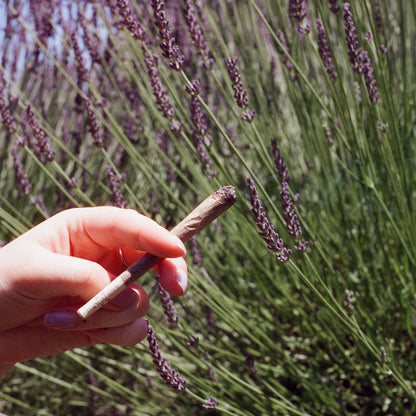 CLOVE CONES
