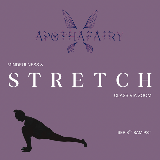 STRETCH ZOOM CLASS