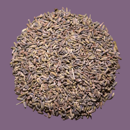 Lavender is a fragrant flowering herb cherished for its calming aroma and long history of traditional use.