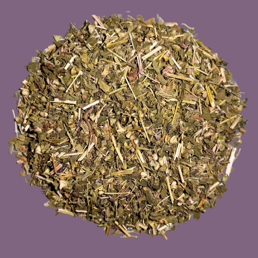 Skullcap