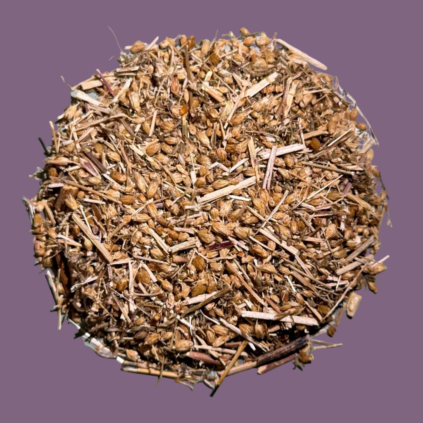 Yarrow