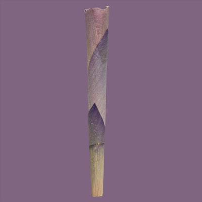 Drift into profound calm with our BLUE LOTUS CONE, a king-size pre-roll filled with 100% organic blue lotus flower—an ancient botanical treasured for centuries.
