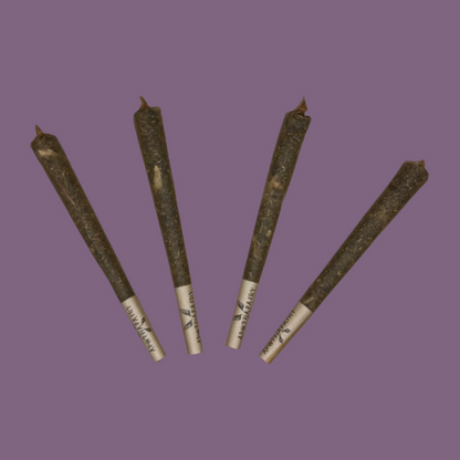 CLOVE CONES